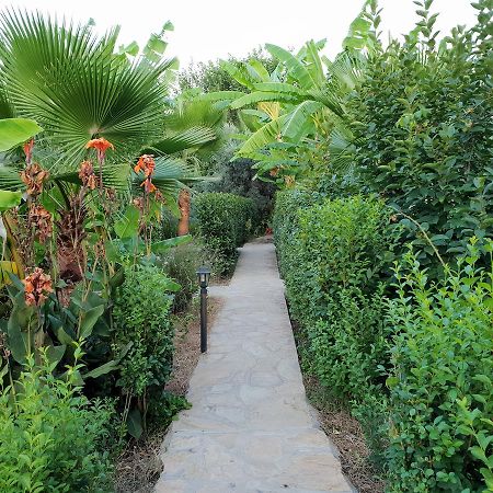 Estelar Bungalow Çıralı Luaran gambar