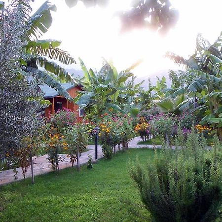 Estelar Bungalow Çıralı Luaran gambar