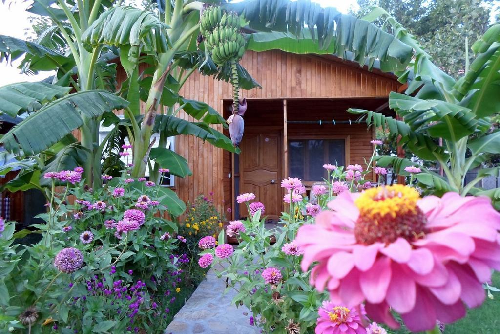 Estelar Bungalow Çıralı Luaran gambar