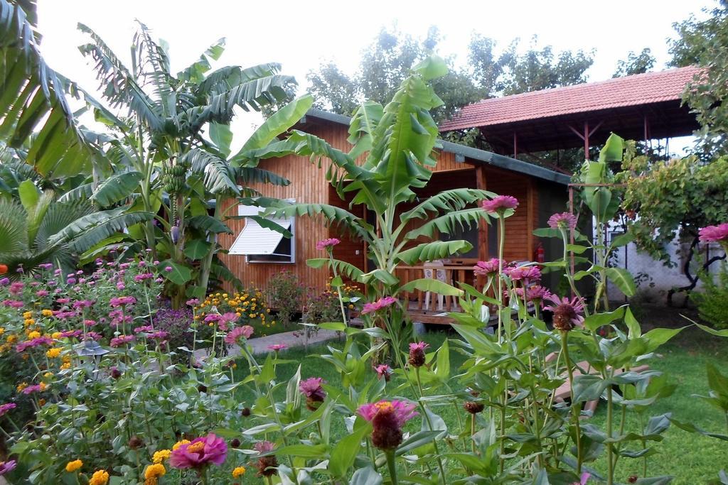 Estelar Bungalow Çıralı Luaran gambar