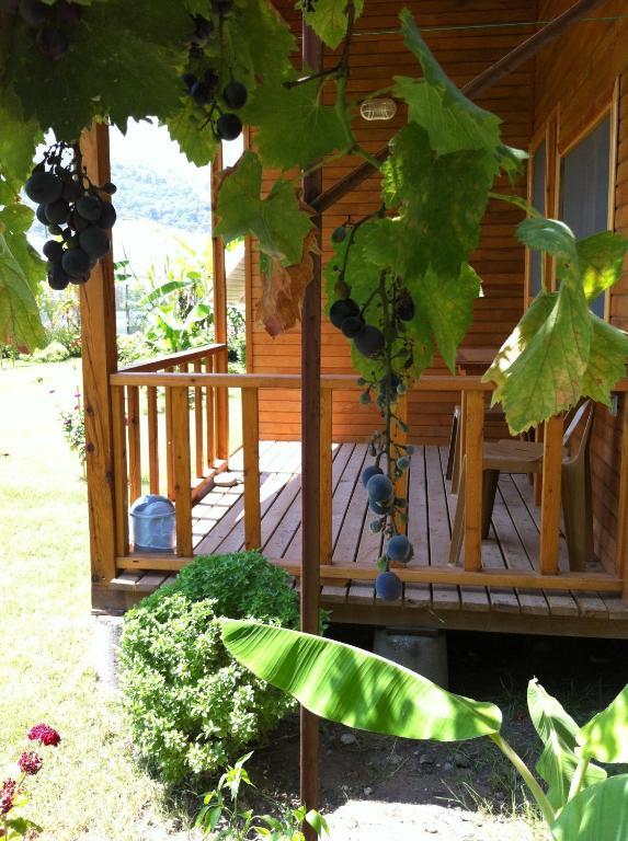 Estelar Bungalow Çıralı Bilik gambar