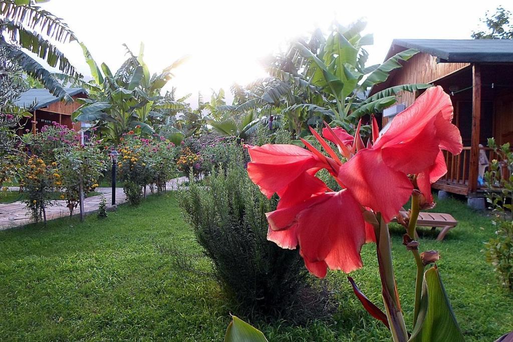 Estelar Bungalow Çıralı Luaran gambar