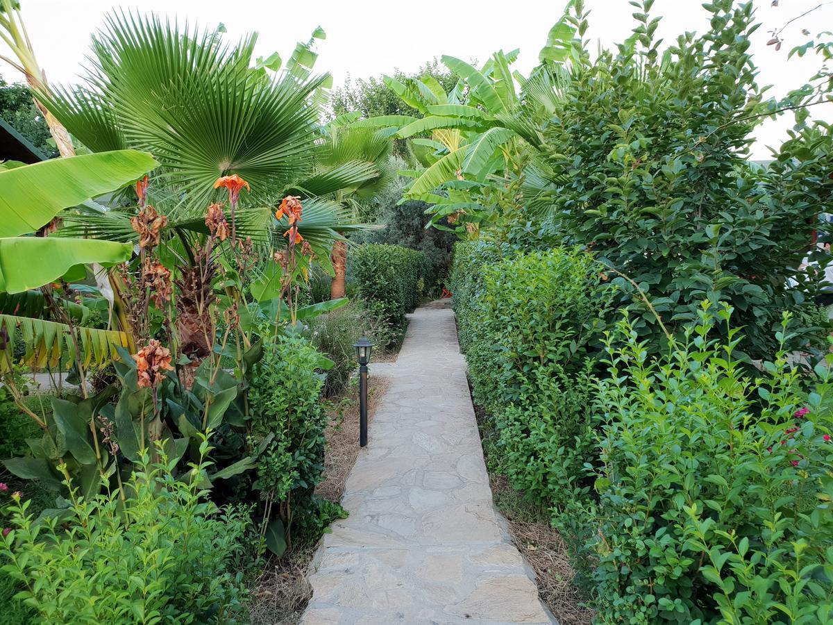 Estelar Bungalow Çıralı Luaran gambar