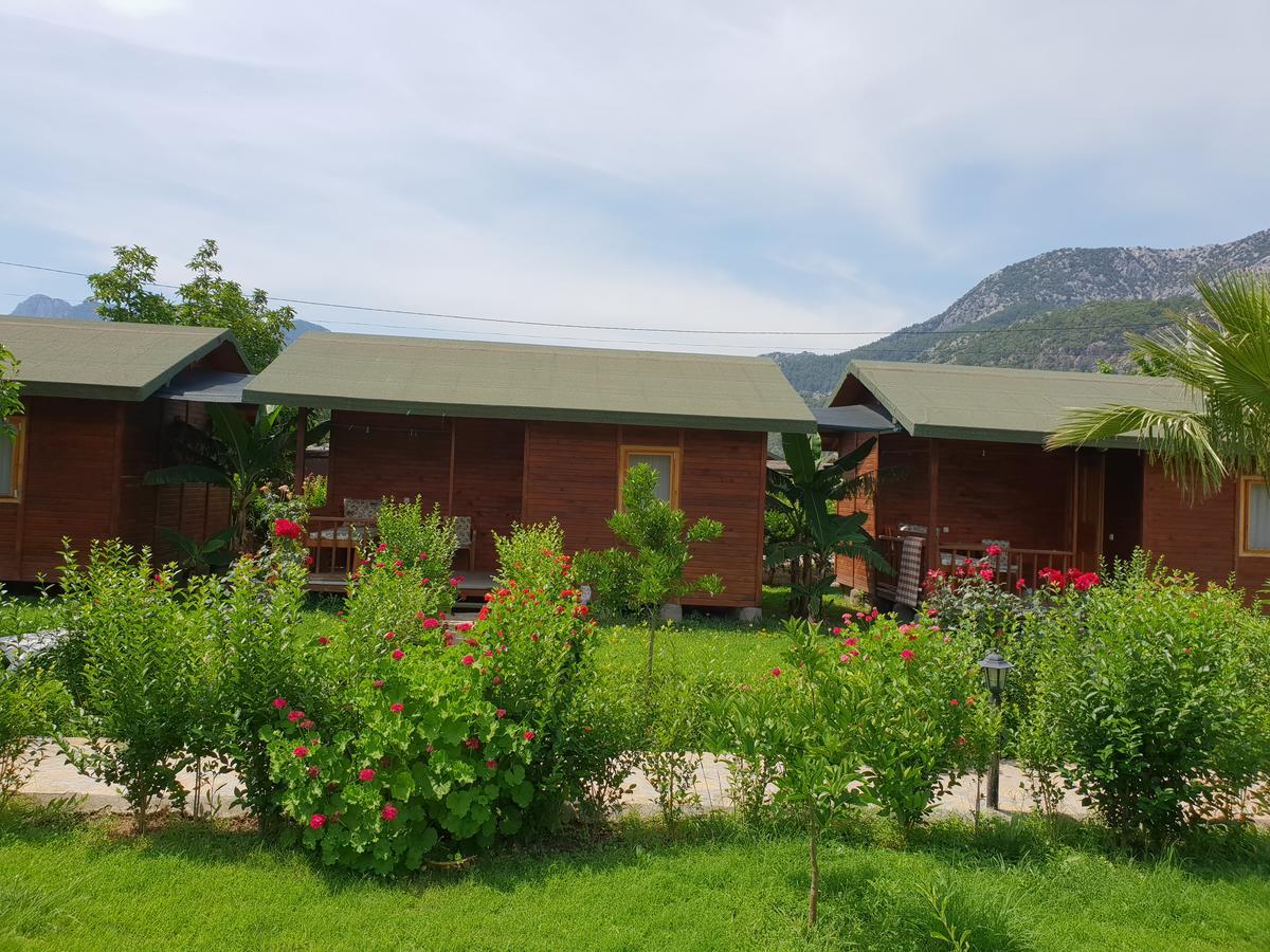 Estelar Bungalow Çıralı Luaran gambar