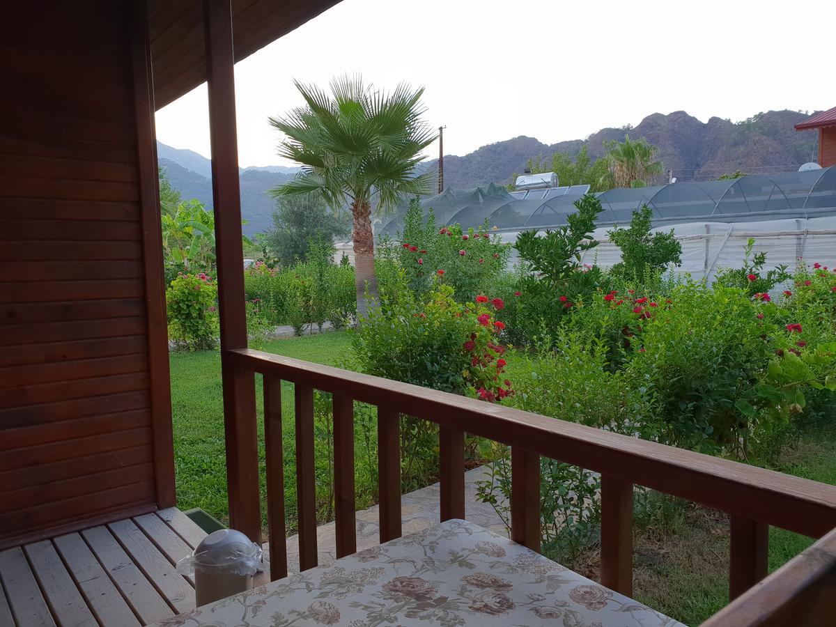 Estelar Bungalow Çıralı Luaran gambar
