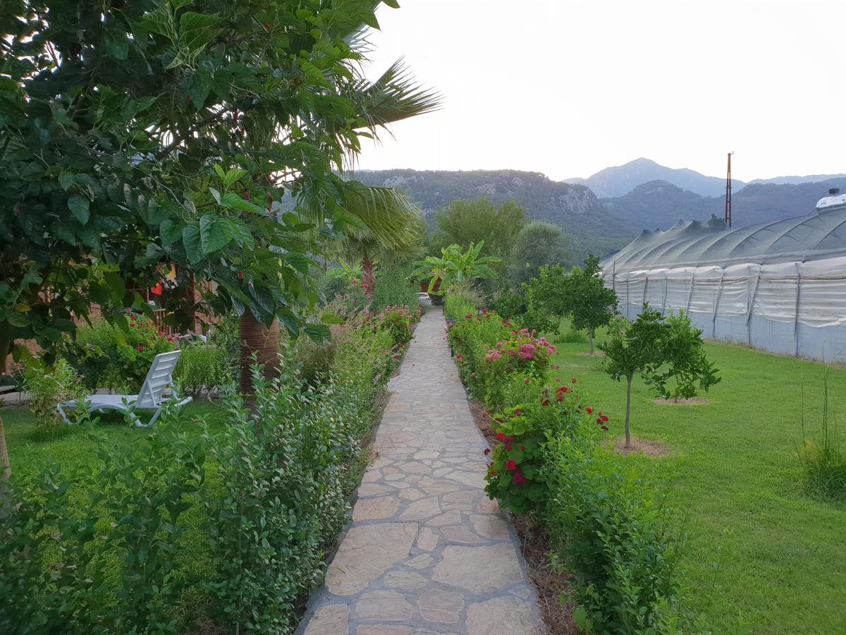 Estelar Bungalow Çıralı Luaran gambar